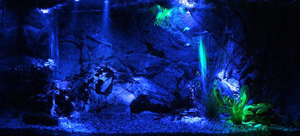 Лампы для подсветки аквариума