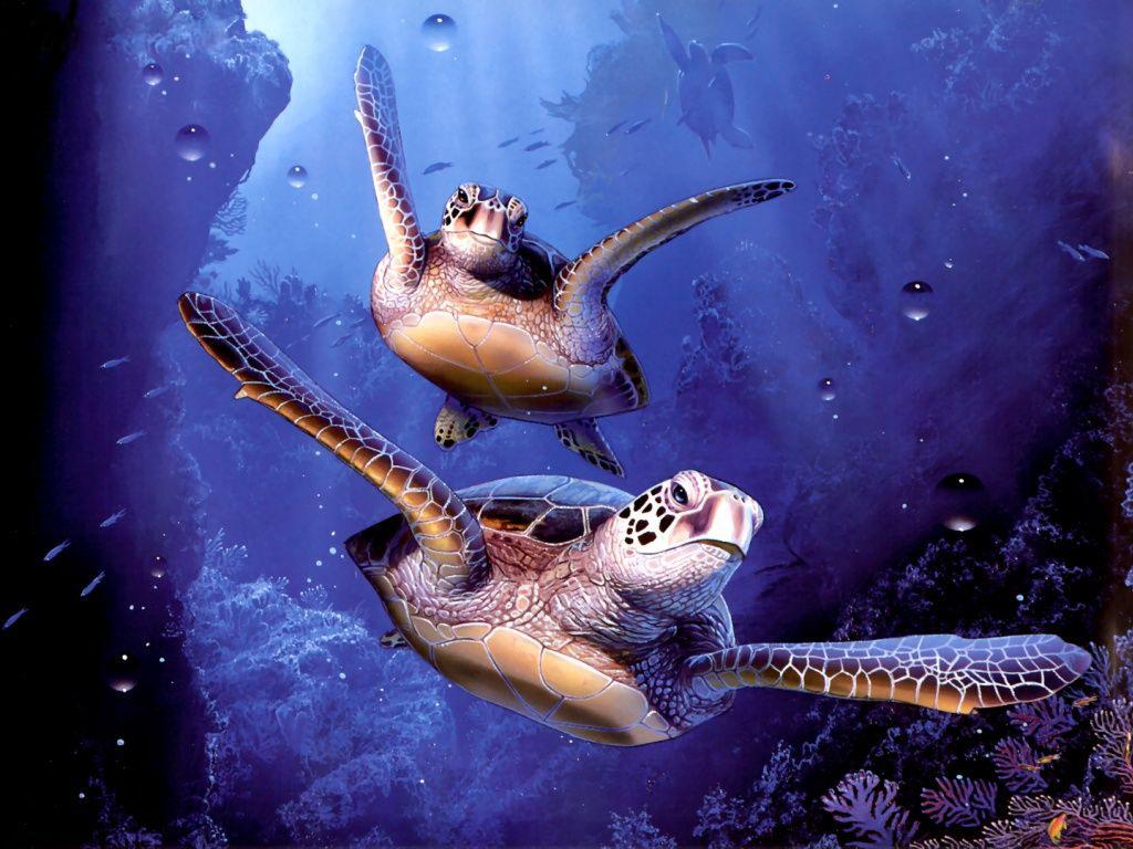 Черепахи в аквариуме